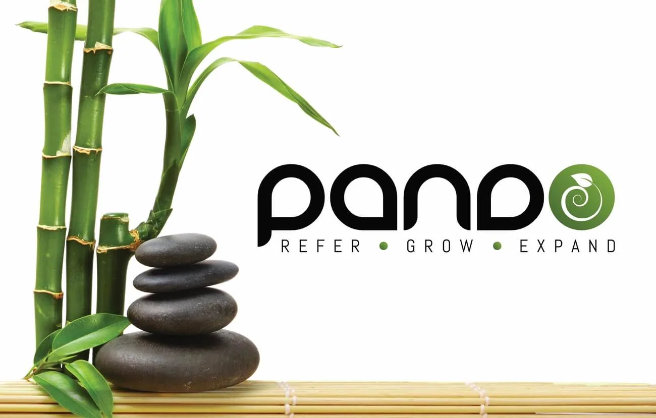 Pando Rewards — original project presentation