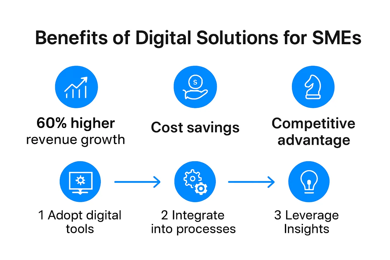 Infographic illustrating digital solutions benefits for SMEs