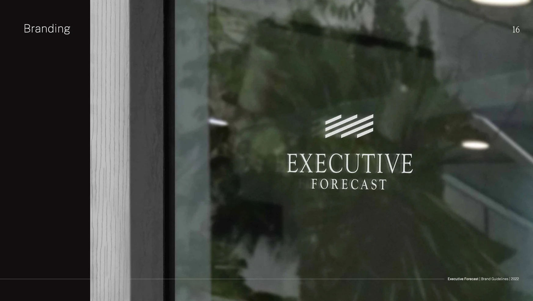 Executive Forecast brand guideline artwork showing its symbol and wordmark applied to a glass window