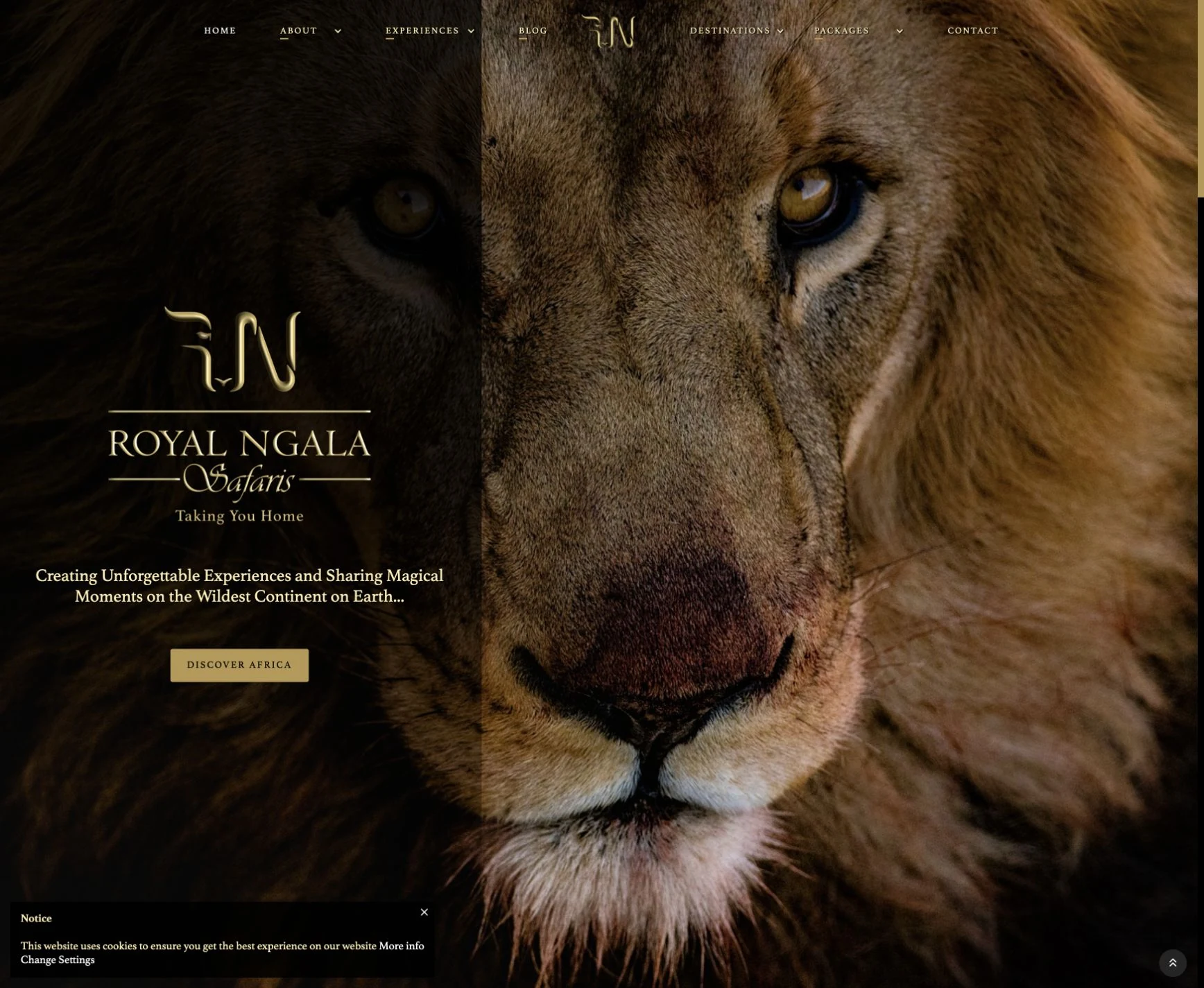 Royal Ngala homepage with a full-height lion photograph and its gold safari identity